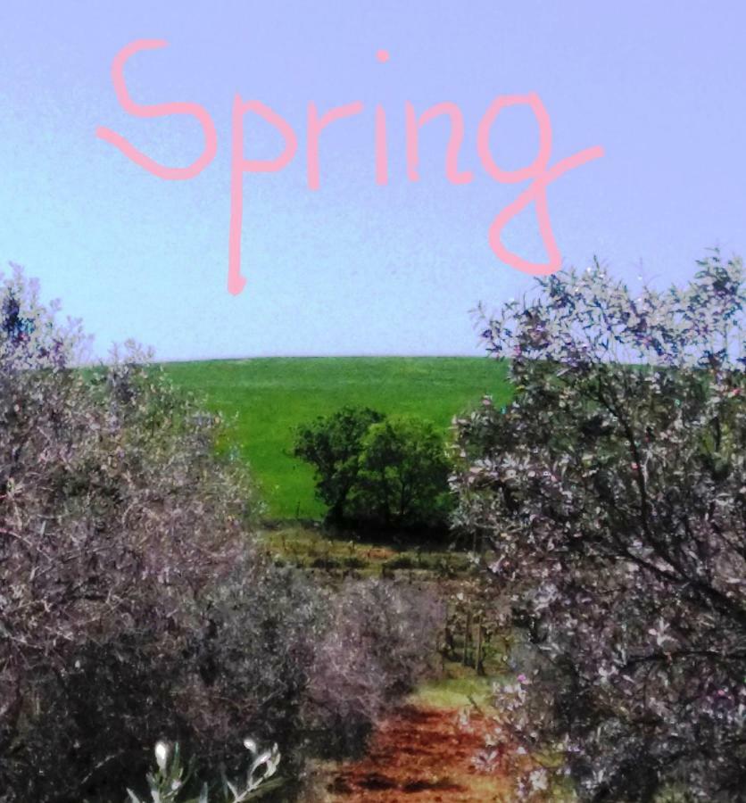 Agriturismo Il Cantiniere Grosseto Luaran gambar