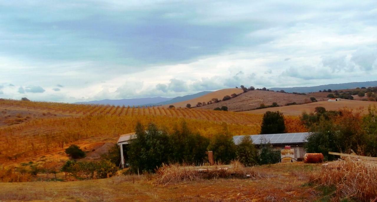 Agriturismo Il Cantiniere Grosseto Luaran gambar
