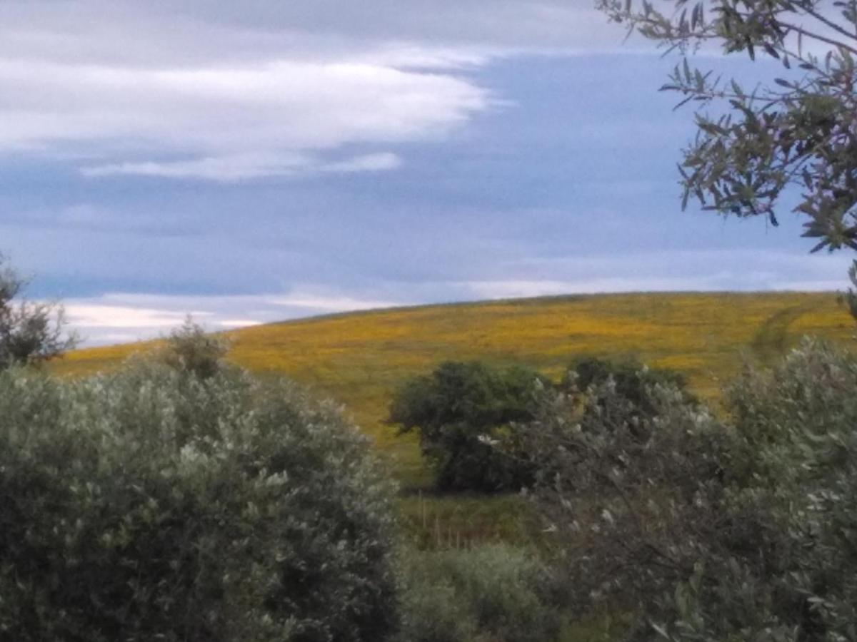 Agriturismo Il Cantiniere Grosseto Luaran gambar